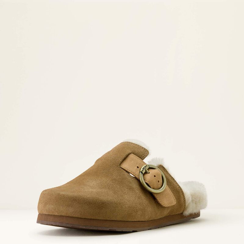 Brown suede shoe on a white background
