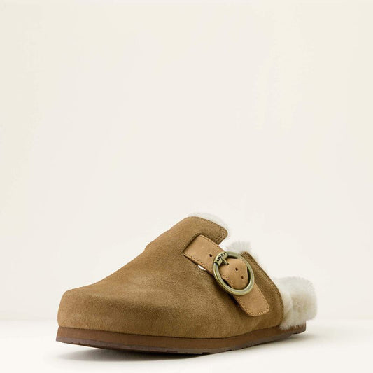 Brown suede shoe on a white background
