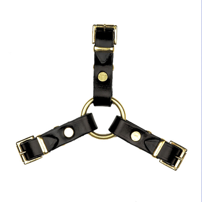 Black leather coupling with gold accents on a white background