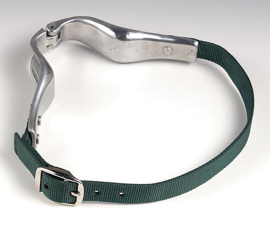 Horse cribbing collar on a white background