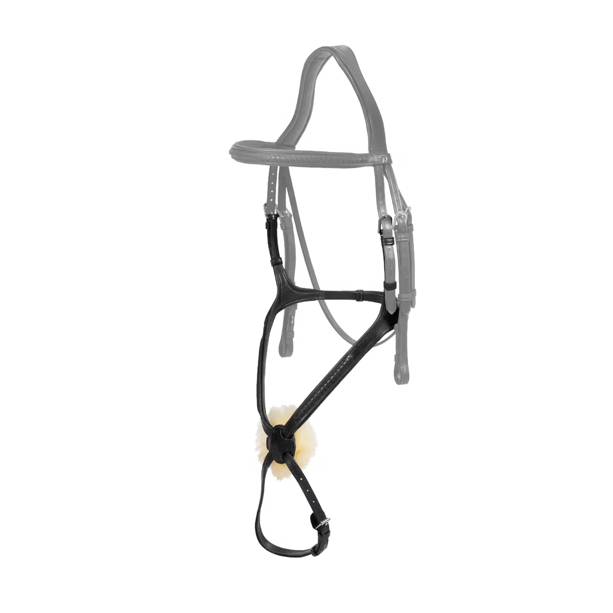 Horse bridle on a white background