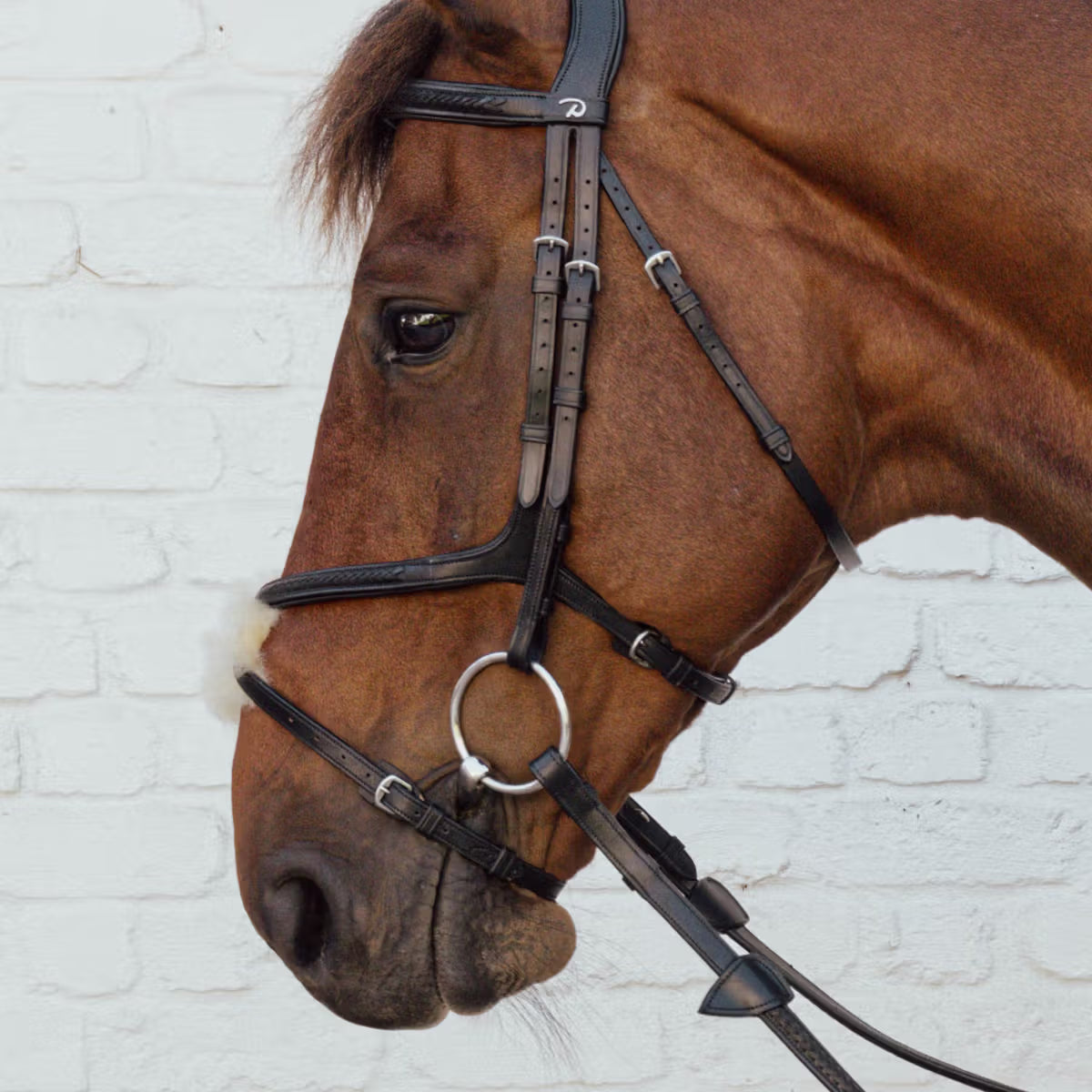 Brown horse wearing a bridle against a white brick wall