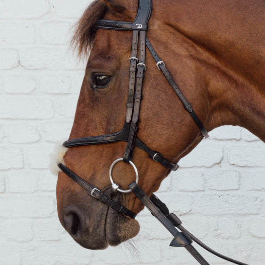 Brown horse wearing a bridle against a white brick wall