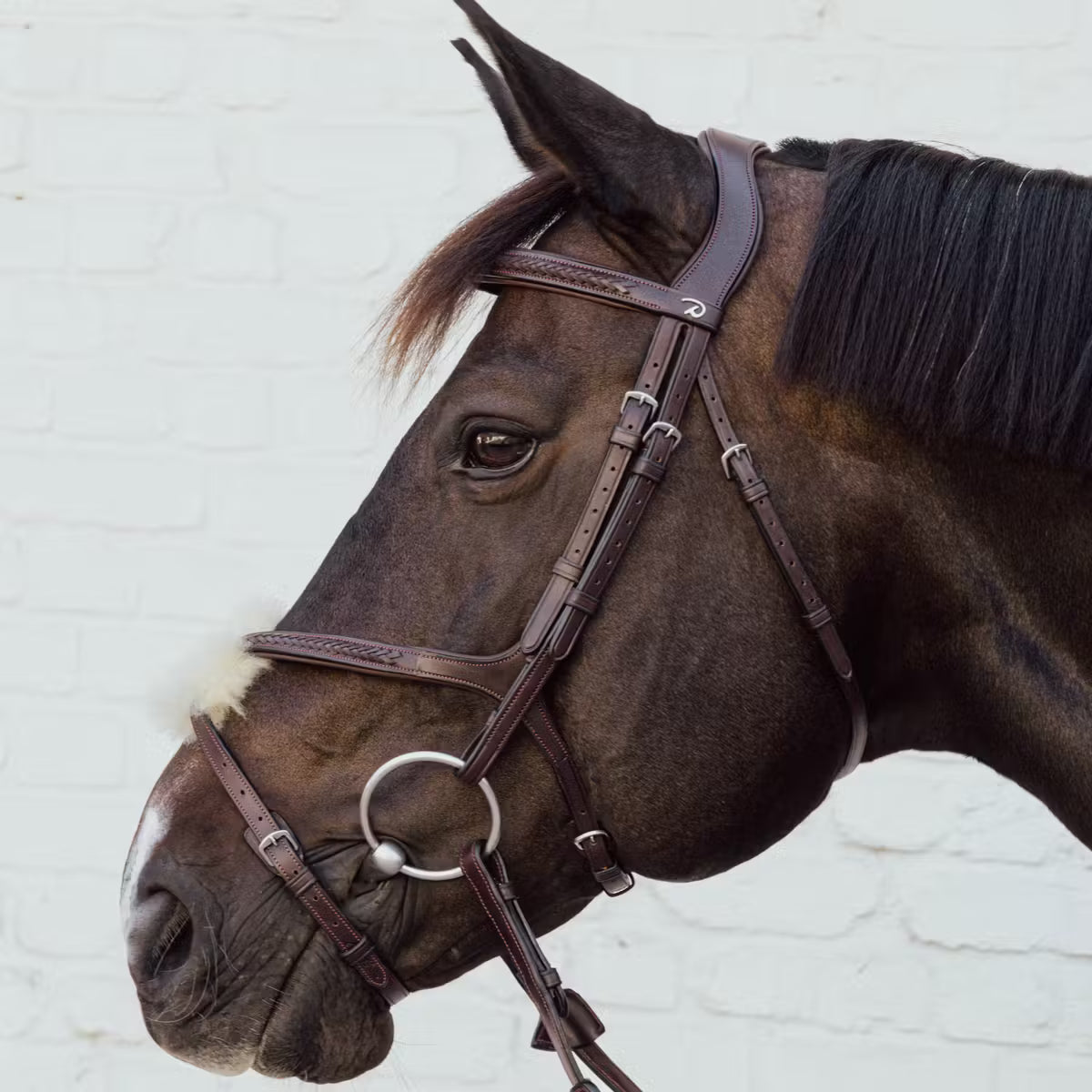 Brown horse wearing a bridle against a white brick wall