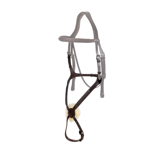 Bridle on a white background