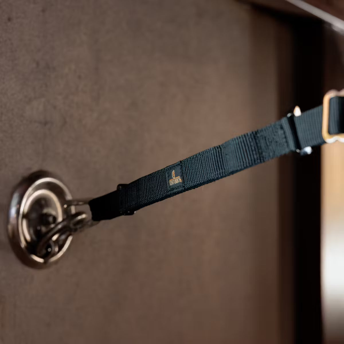 Black leash attached to a metal door handle on a wooden door.