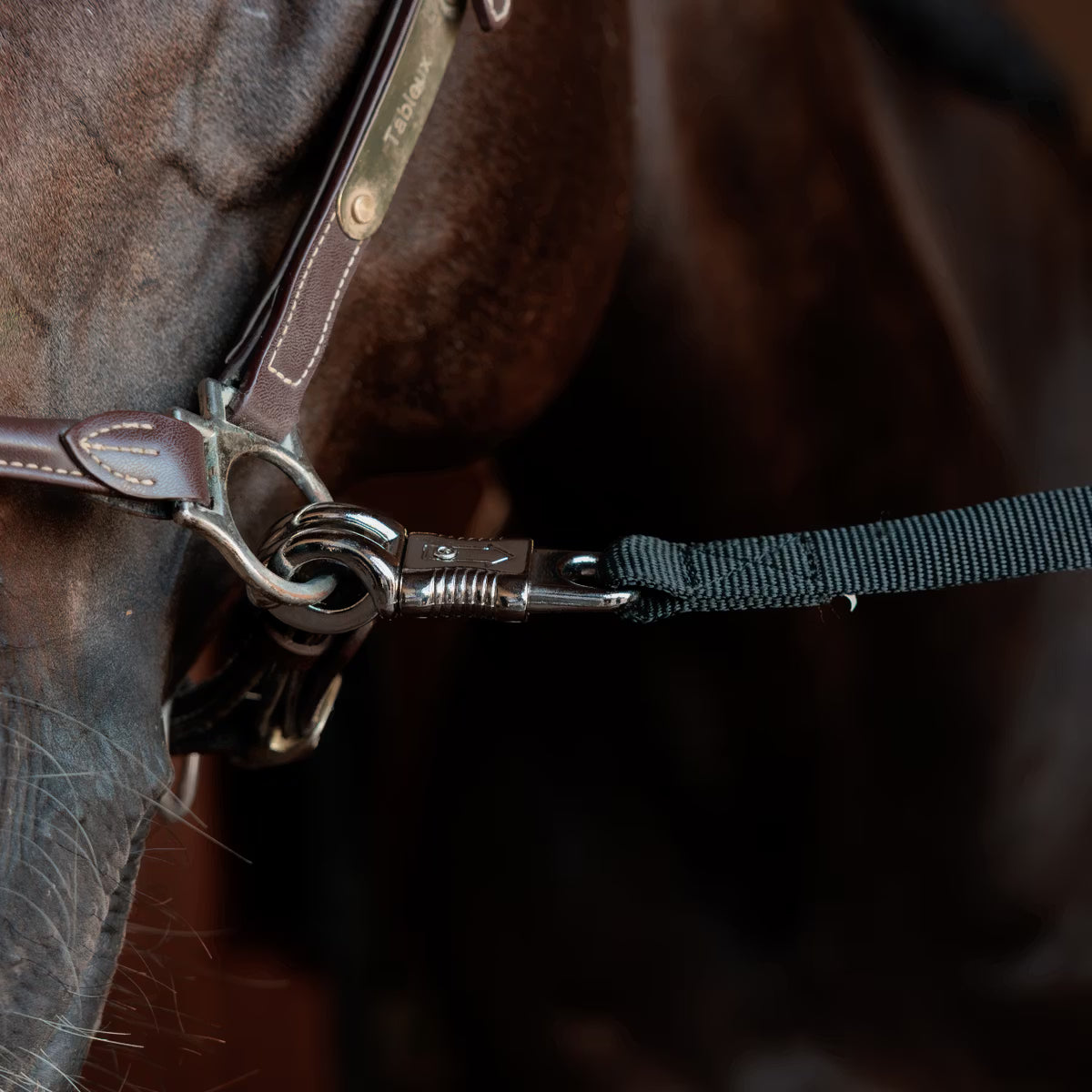 Close-up of a horse cross tie with a metallic bit and leather straps.