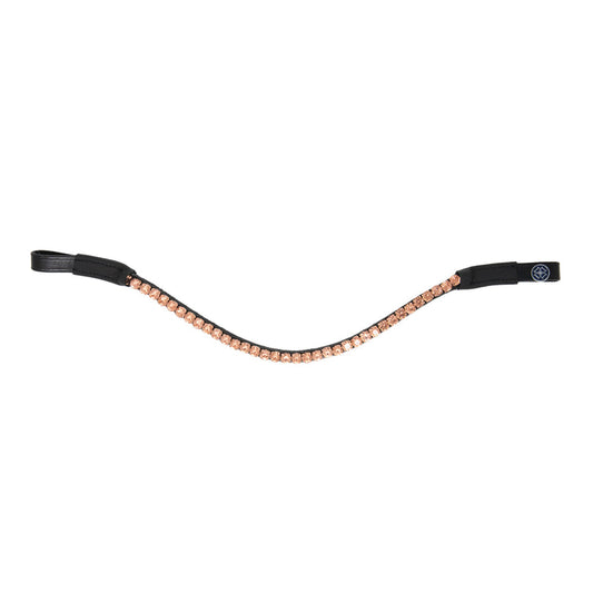 Sparkly browband on a white background