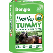  Dengie Healthy Tummy - Horse Feed
