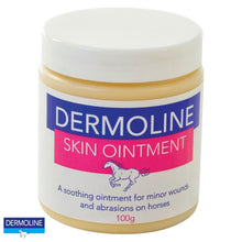  Dermoline Skin Ointment - 100g - Skin Ointment