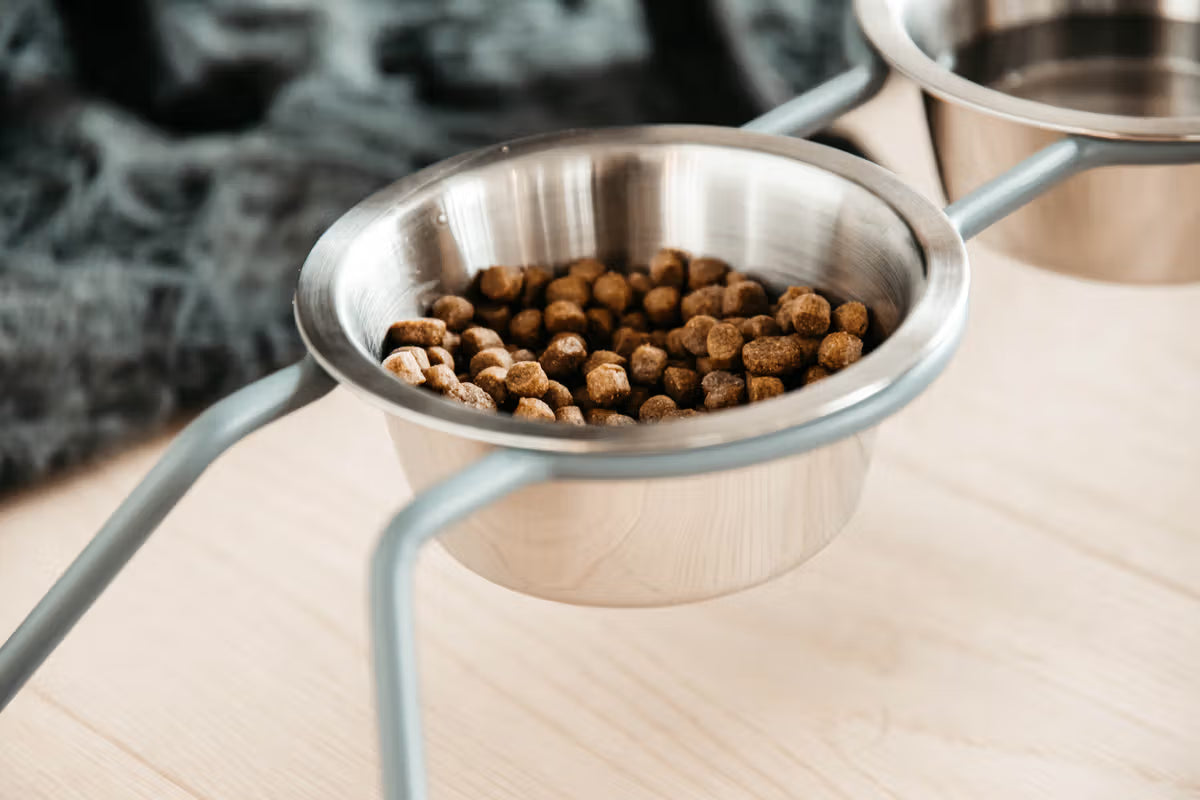 Metal pet feeder with kibble on a wooden surface