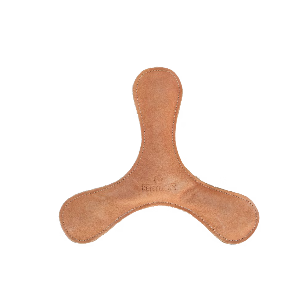 Brown dog toy on a white background