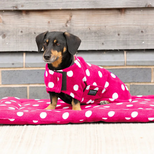 Dog wearing a pink polka dot coat sitting on a matching pink mat with a wooden background.