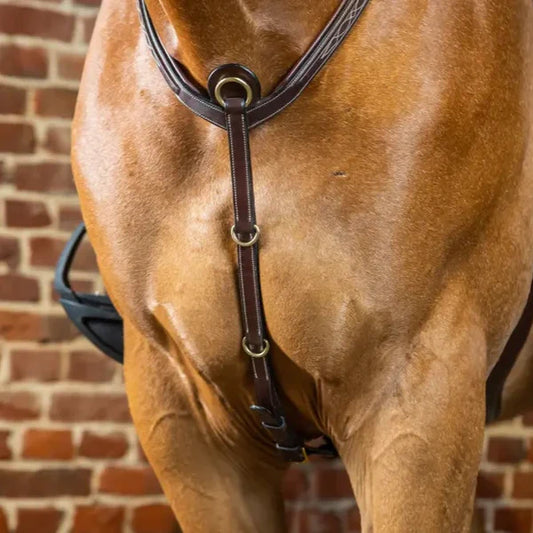 Brown horse with a bridle against a brick wall