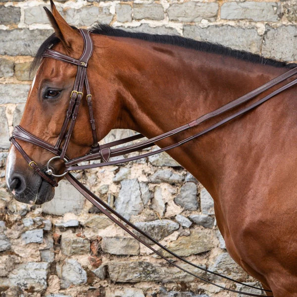 Brown horse with bridle against a stone wall background