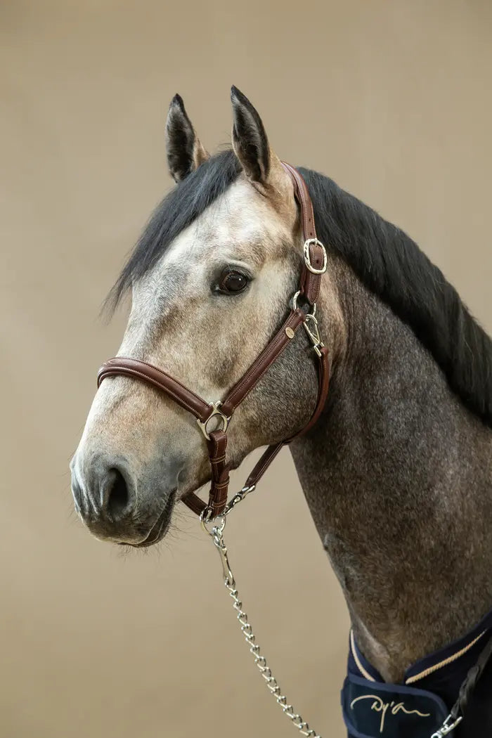 A brown soft leather headcollar with adjustable headpiece and noseband, featuring decorative stitching and extra-comfort padded lining.