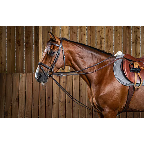 A brown horse equipped with brown leather draw reins, standing in front of a wooden fence.