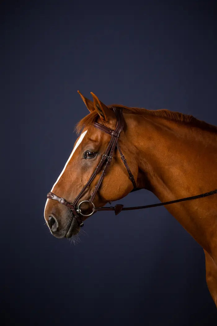 A brown horse wearing a DY'ON adjustable drop noseband bridle from the New English Collection.