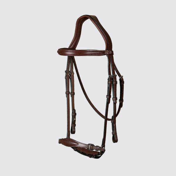 Brown horse bridle on a light gray background