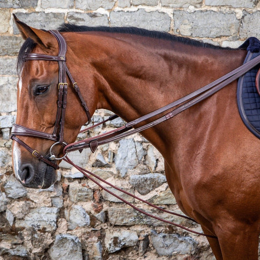 Brown horse with bridle and saddle against a stone wall