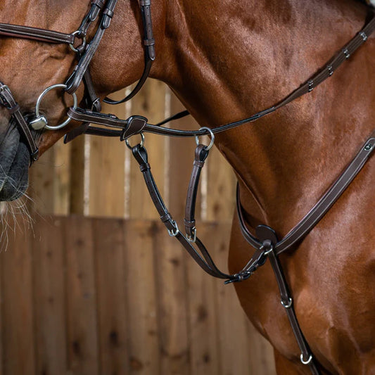Close-up of a brown horse wearing a bridle with a wooden fence background