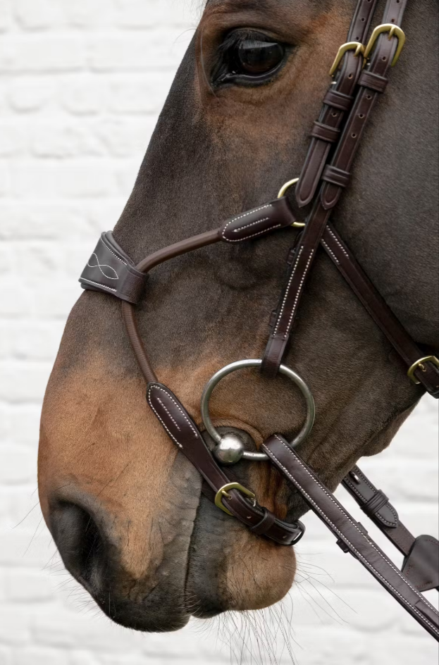 Close-up of a horse wearing a brown elastic hybrid noseband designed for comfort and freedom of movement.