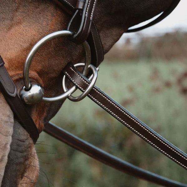 Close-up of a horse's bridle with a blurred natural background