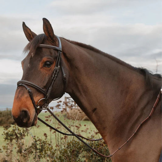 Brown horse wearing a bridle in an outdoor setting with a cloudy sky.