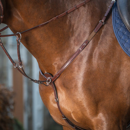 Close-up of a brown horse wearing a bridle and blue saddle pad.