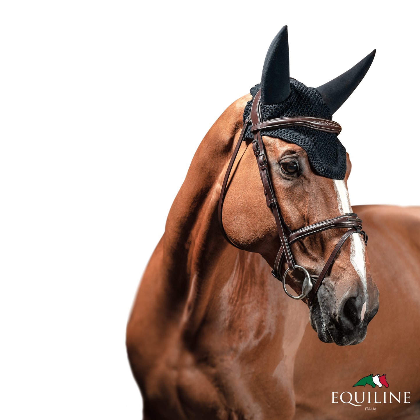Boomerang Equestrian - Equiline Square Earnet Dell Black