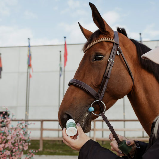 Easy Tiger Roller being used on a horse