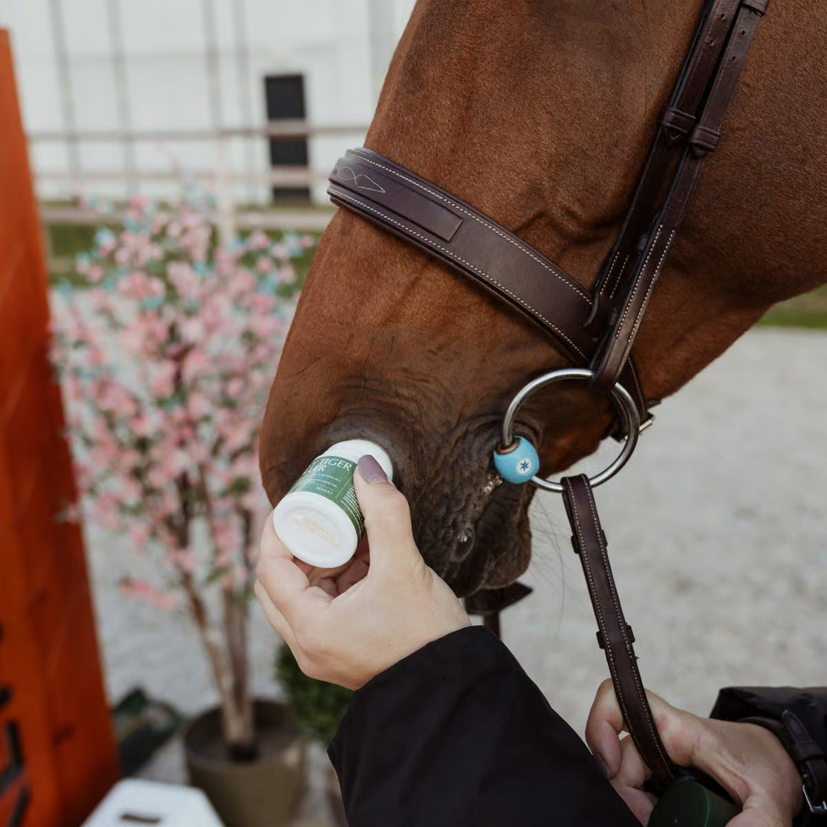 Easy Tiger Roller being used on a horse