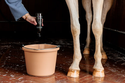 Kentucky Grooming Deluxe Almond Gloss Purple Shampoo