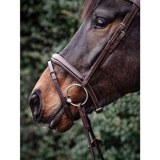 Boomerang Equestrian - Equiline Convex Noseband Shaped With Stitching NB0450 Brown