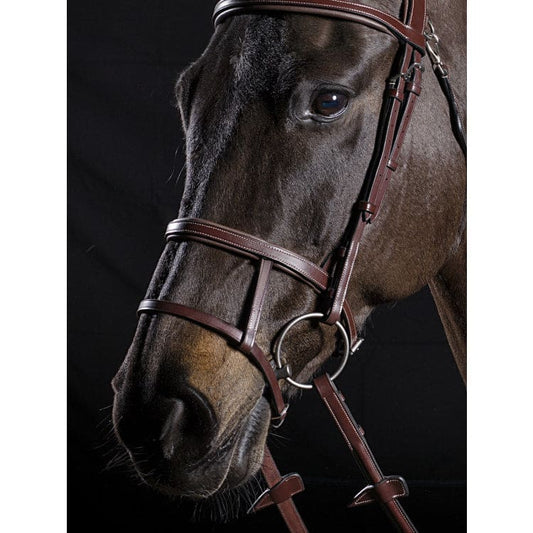 Boomerang Equestrian - Equiline Double Noseband NB0445 Brown