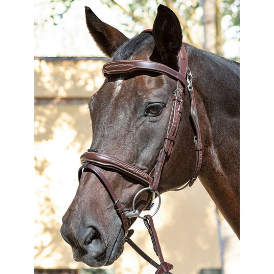Equiline Browband BB0418 Shaped With Fancy Stitching Brown - Browband