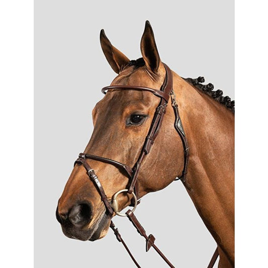 Boomerang Equestrian - Equiline Rolled Leather Bridle & Reins Brown