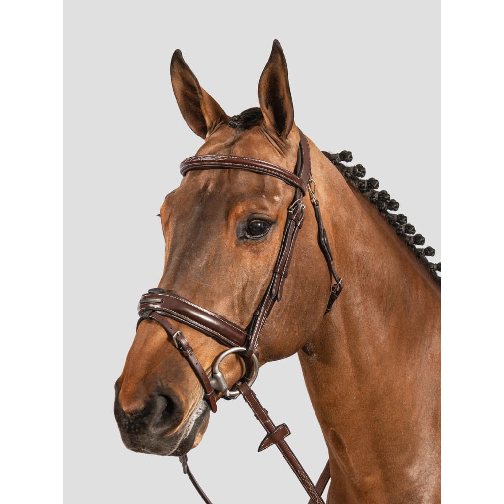 Equiline Rounded Bridle With Swedish Noseband Black - COB / BLACK - Bridle