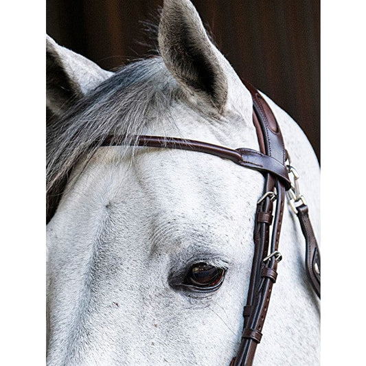 Boomerang Equestrian - Equiline Rounded Browband Brown - BB0414