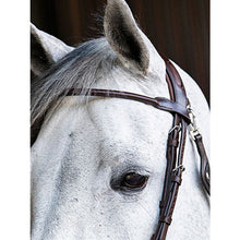  Equiline Rounded Browband Brown - BB0414 - Browband