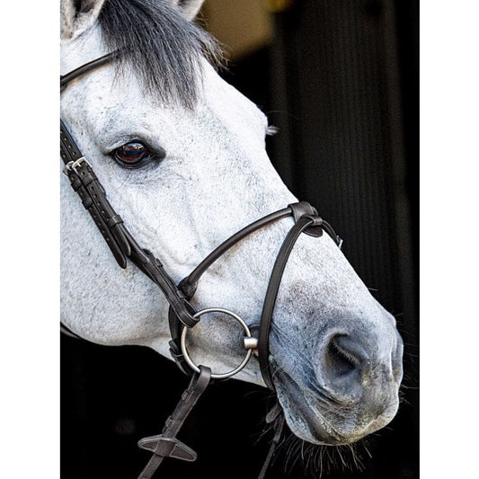 Boomerang Equestrian - Equiline Rounded Noseband NB443 With Removable Flash Black