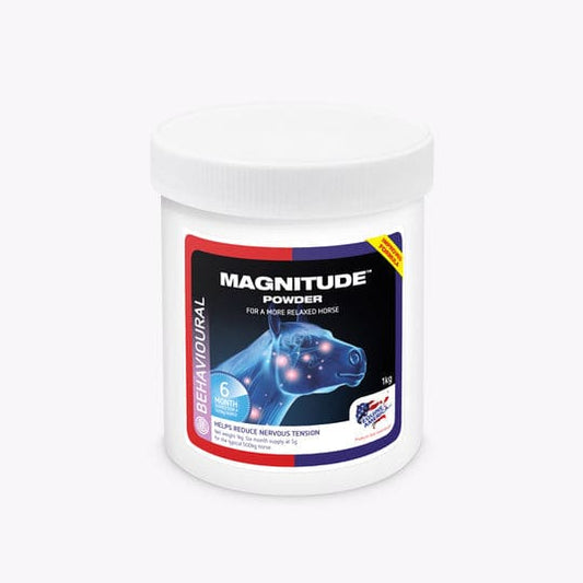 Boomerang Equestrian - Equine America Magnitude Powder