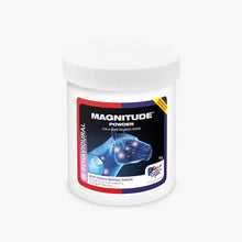  Equine America Magnitude Powder - 1kg - Animals & Pet Supplies