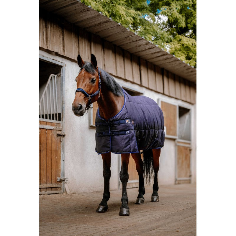 A brown horse standing in front of a wooden stable, wearing a navy blue quilted horse blanket with contrasting light blue trim.