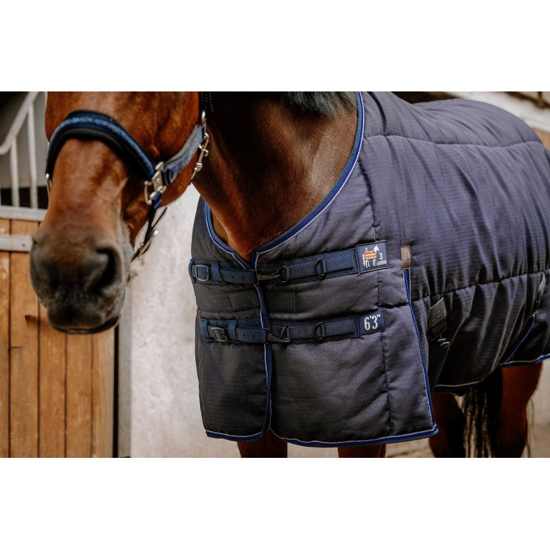 A dark charcoal gray quilted horse blanket with blue piping and straps, shown on a brown horse in a stable setting.