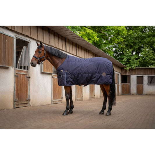 A brown horse standing in a stable yard wearing a navy blue quilted horse blanket. The stable has light-colored walls and wooden doors, with green trees in the background.