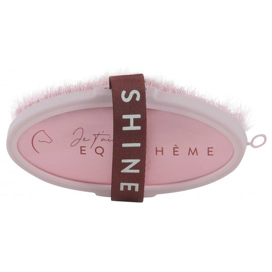 Pink oval brush with 'SHINE' band on a white background