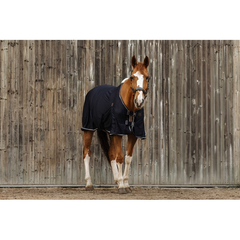 Horse wearing a dark blanket standing against a wooden fence.