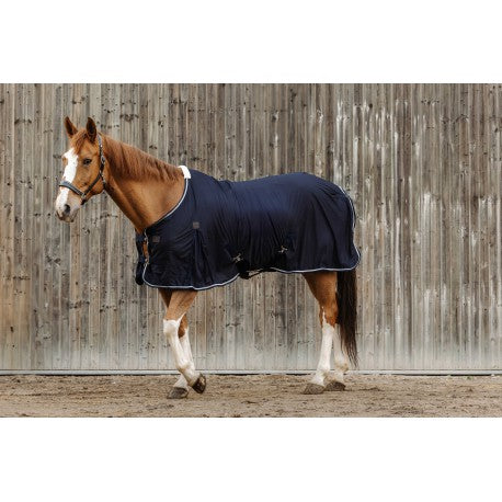 Horse wearing a navy blue rug standing against a wooden fence.
