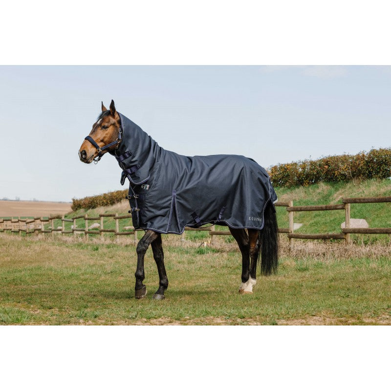 Horse wearing a gray rug in an open field with a fence and trees in the background.